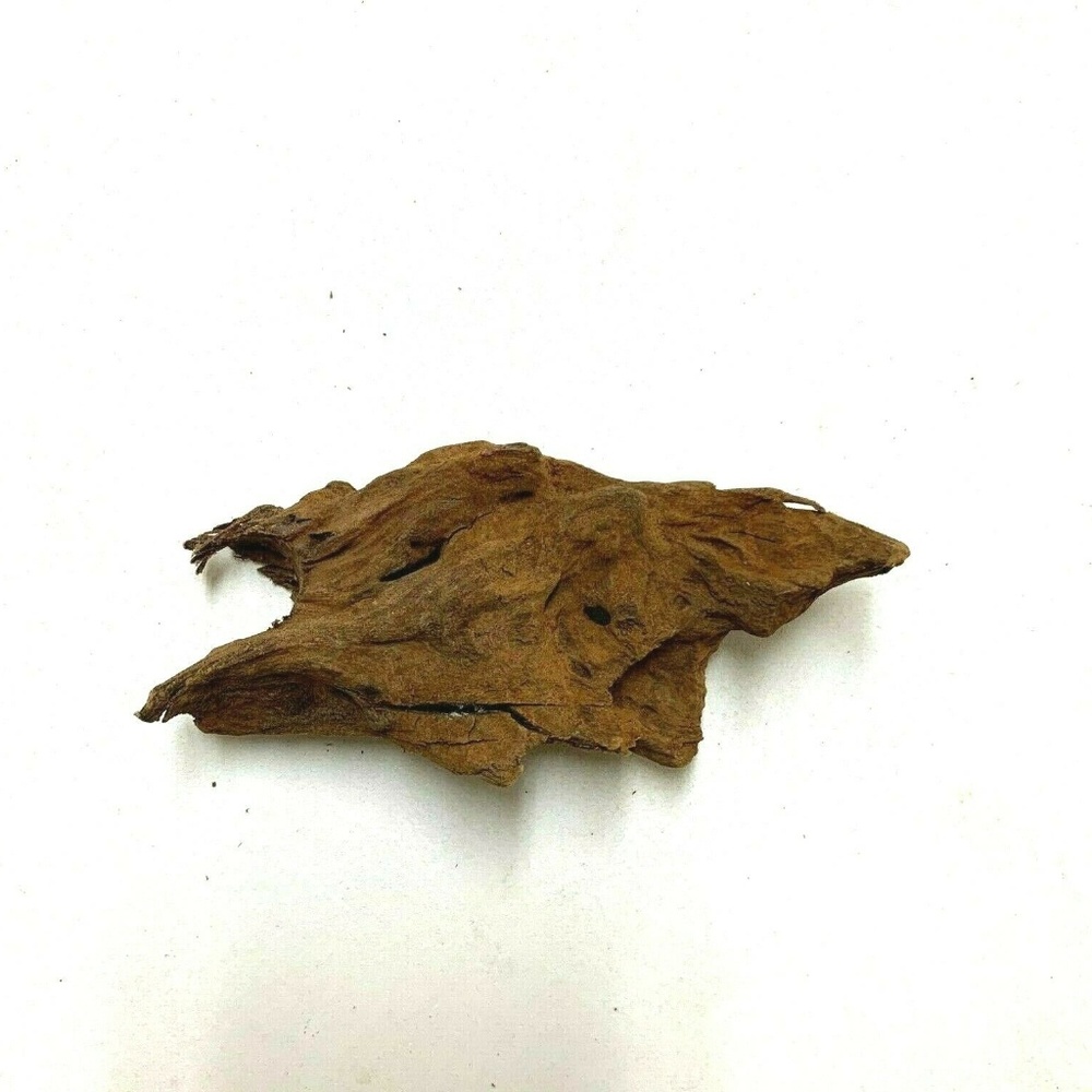 Malaysian Drift Wood Aquarium Natural Planted Tank